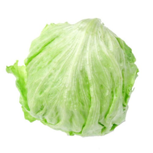 调节肠道菌群环境