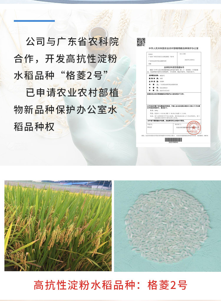 健糖米2.5公斤(图3)